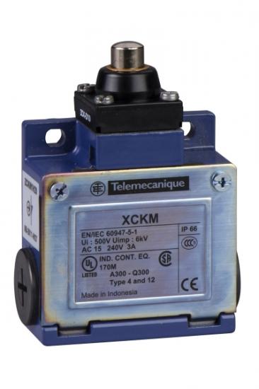 Telemecanique XCKM110 Metal Pimli Limit Switch Al