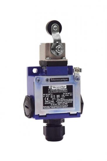 Telemecanique XCKM3915H29EX Limit Switch Satın Al