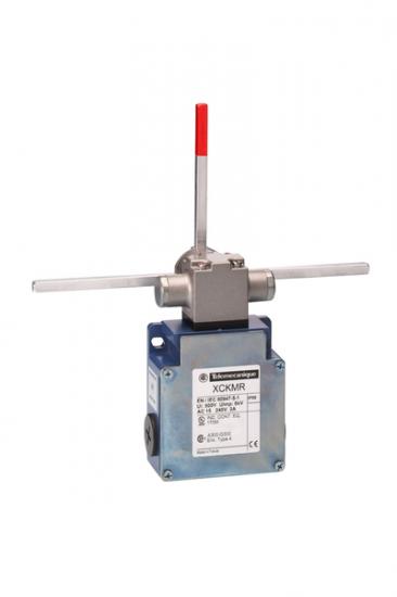 Telemecanique XCKMR54D2 Limit Switch Satın Al